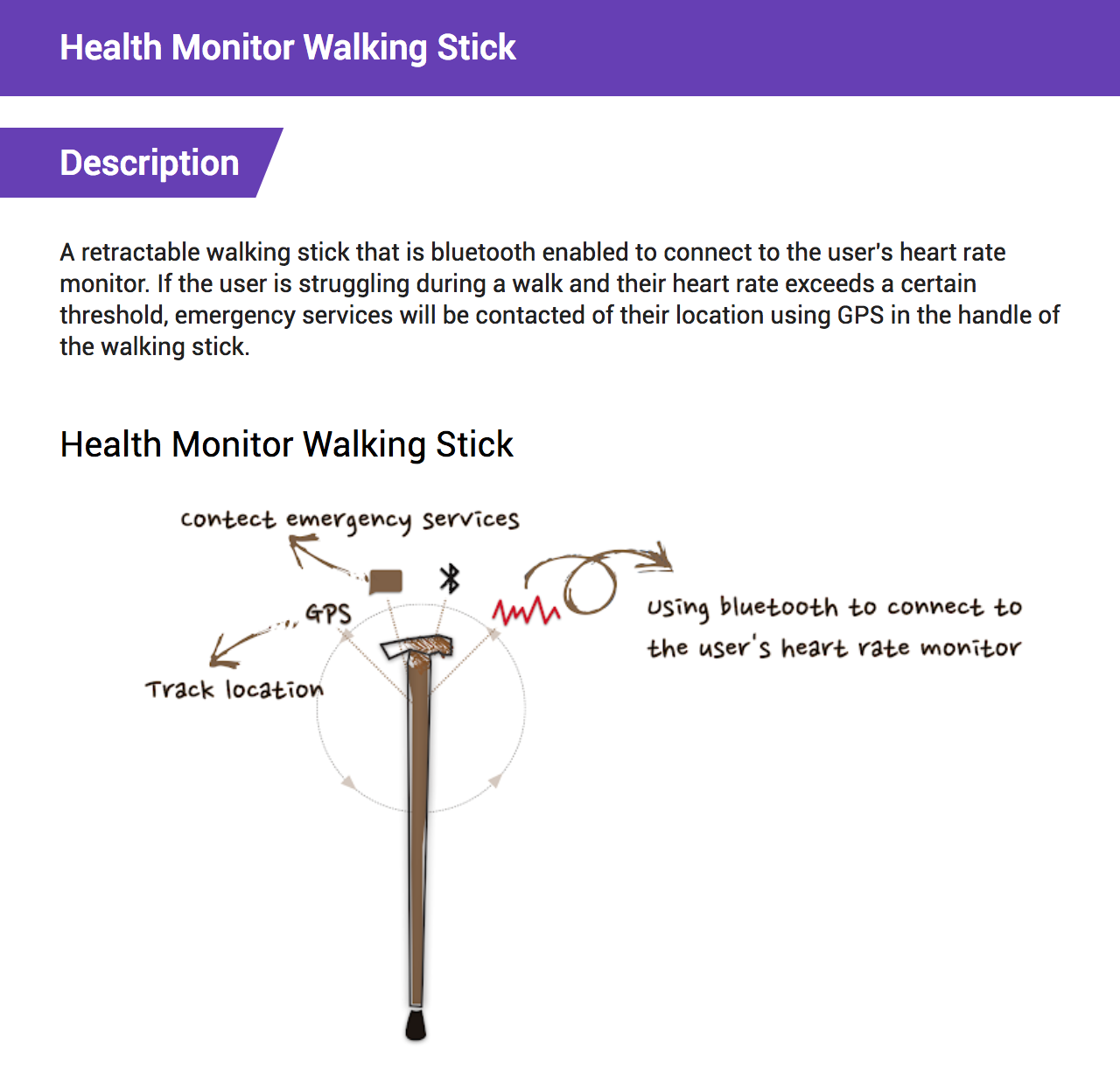 Health Monitor Walking Stick
